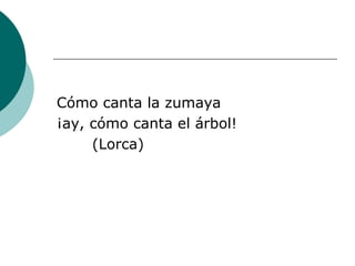 Cómo canta la zumaya ¡ay, cómo canta el árbol! (Lorca) 