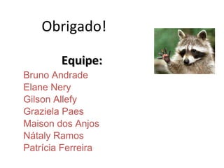 Bruno Andrade Elane Nery Gilson Allefy Graziela Paes Maison dos Anjos  Nátaly Ramos Patrícia Ferreira Equipe: Obrigado! 