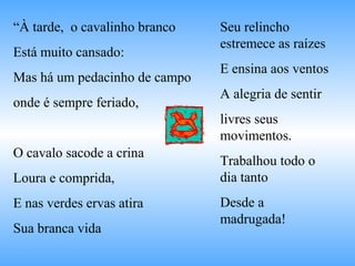 “À tarde, o cavalinho branco
Está muito cansado:
Mas há um pedacinho de campo
onde é sempre feriado,
O cavalo sacode a crina
Loura e comprida,
E nas verdes ervas atira
Sua branca vida
Seu relincho
estremece as raízes
E ensina aos ventos
A alegria de sentir
livres seus
movimentos.
Trabalhou todo o
dia tanto
Desde a
madrugada!
 