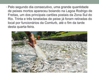 • Pelo segundo dia consecutivo, uma grande quantidade
 de peixes mortos apareceu boiando na Lagoa Rodrigo de
 Freitas, um dos principais cartões postais da Zona Sul do
 Rio. Trinta e três toneladas de peixe já foram retiradas do
 local por funcionários da Comlurb, até o fim da tarde
 desta quarta-feira.
 