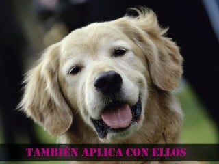 También aplica con ellos
 