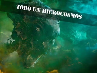 Géneros fotográficos