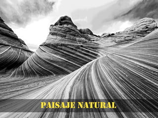 Paisaje Natural
Paisaje natural
 