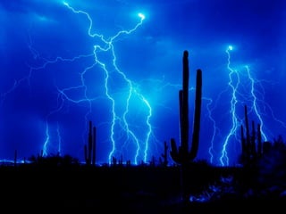 Géneros fotográficos