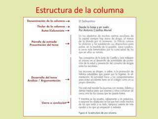Estructura de la columna
 