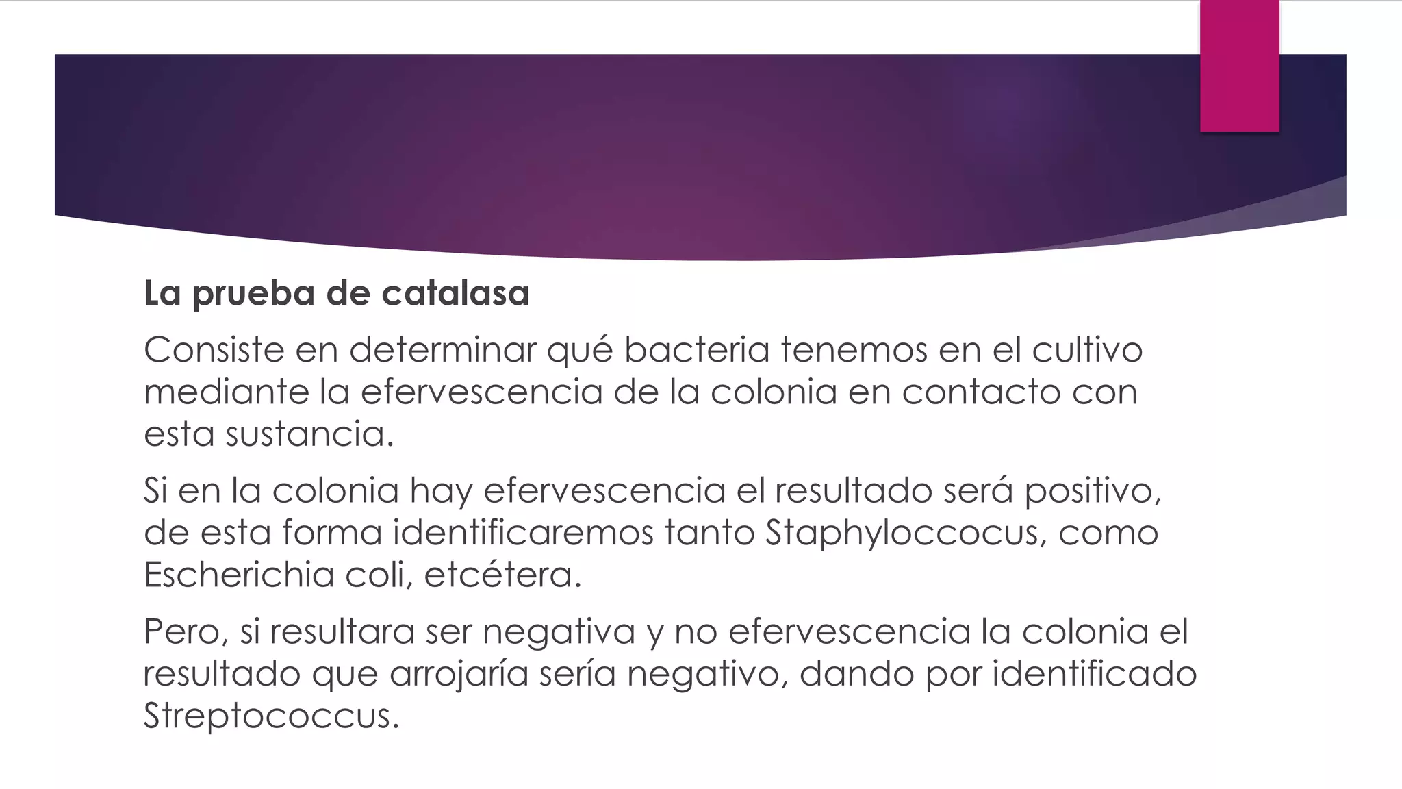 La prueba de catalasa
Consiste en determinar qué bacteria tenemos en el cultivo
mediante la efervescencia de la colonia en contacto con
esta sustancia.
Si en la colonia hay efervescencia el resultado será positivo,
de esta forma identificaremos tanto Staphyloccocus, como
Escherichia coli, etcétera.
Pero, si resultara ser negativa y no efervescencia la colonia el
resultado que arrojaría sería negativo, dando por identificado
Streptococcus.
 