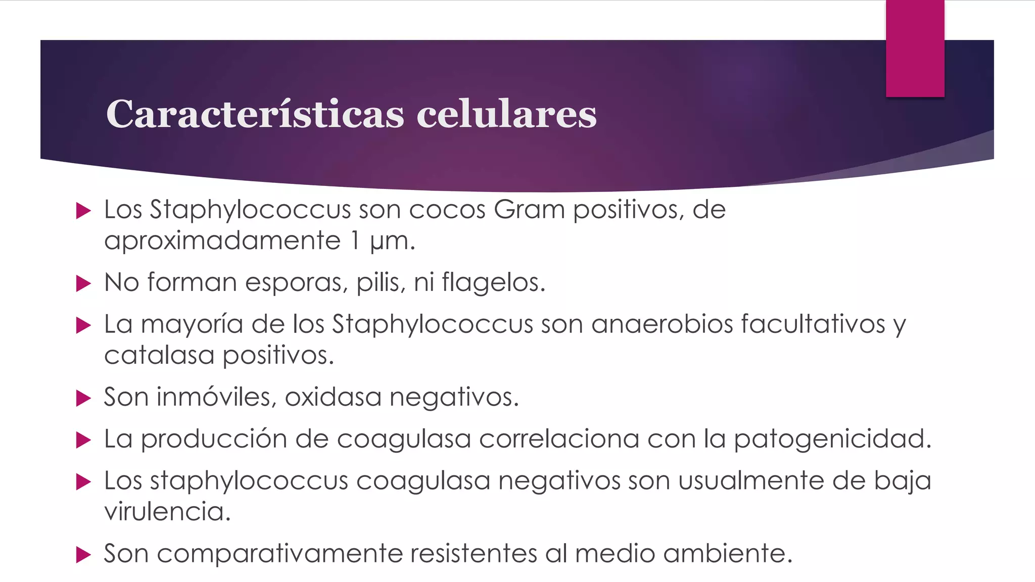 Características celulares
 Los Staphylococcus son cocos Gram positivos, de
aproximadamente 1 µm.
 No forman esporas, pilis, ni flagelos.
 La mayoría de los Staphylococcus son anaerobios facultativos y
catalasa positivos.
 Son inmóviles, oxidasa negativos.
 La producción de coagulasa correlaciona con la patogenicidad.
 Los staphylococcus coagulasa negativos son usualmente de baja
virulencia.
 Son comparativamente resistentes al medio ambiente.
 