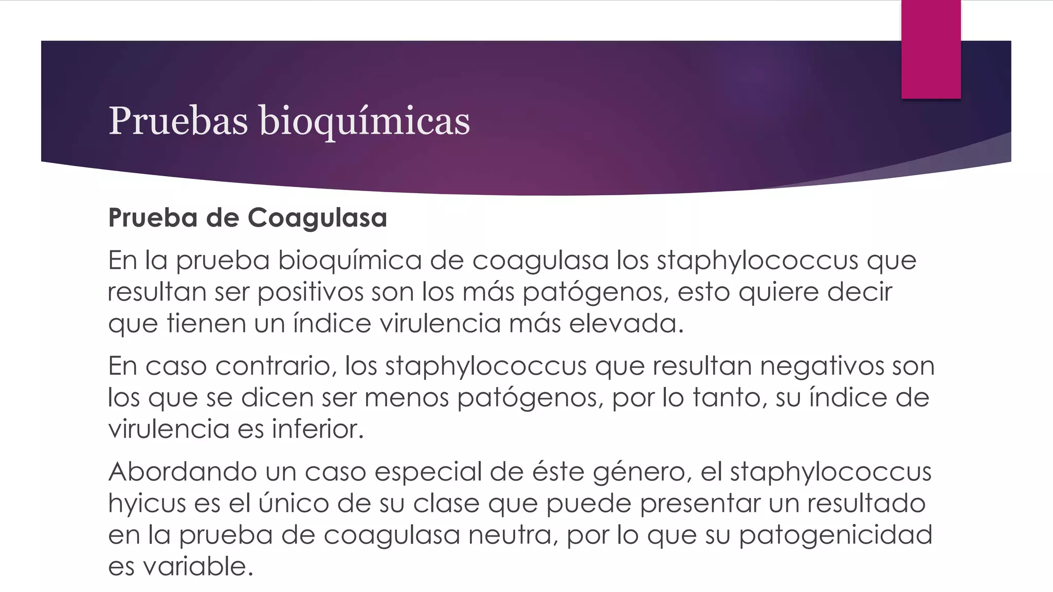 Pruebas bioquímicas
Prueba de Coagulasa
En la prueba bioquímica de coagulasa los staphylococcus que
resultan ser positivos son los más patógenos, esto quiere decir
que tienen un índice virulencia más elevada.
En caso contrario, los staphylococcus que resultan negativos son
los que se dicen ser menos patógenos, por lo tanto, su índice de
virulencia es inferior.
Abordando un caso especial de éste género, el staphylococcus
hyicus es el único de su clase que puede presentar un resultado
en la prueba de coagulasa neutra, por lo que su patogenicidad
es variable.
 