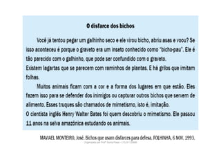 Organizado por Profª Sonia Piaya - (15) 91130888
 