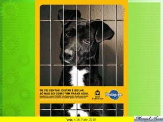 Veja,	
  n.14,	
  7	
  abr.	
  2010.	
  
 