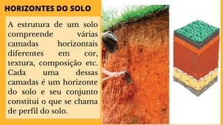 HORIZONTES DO SOLO
A estrutura de um solo
compreende várias
camadas horizontais
diferentes em cor,
textura, composição etc.
Cada uma dessas
camadas é um horizonte
do solo e seu conjunto
constitui o que se chama
de perfil do solo.
 