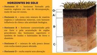 HORIZONTES DO SOLO
Horizonte O – horizonte formado pela
matéria orgânica em vias de decomposição,
razão de sua cor escura.
Horizonte A – zona com mistura de matéria
orgânica e substâncias minerais, com bastante
influência do clima e alta atividade biológica.
Horizonte B – horizonte caracterizado pela
cor forte e pela acumulação de argilas
procedentes dos horizontes superiores e
também de óxidos e hidróxidos de ferro e
alumínio.
Horizonte C – mistura de solo pouco denso
com rocha-matriz pouco alterada.
Horizonte D – rocha matriz sem alteração
 