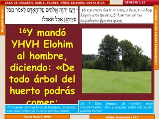 Original Hebreo   CASA DE ORACIÓN, DANIEL FLORES, PÉREZ ZELEDÓN, COSTA RICA              GÉNESIS 2,16




                                                                                                             Versión de los Setenta (Septuaginta)
                          16Y
                          mandó
                     YHVH Elohim
                      al hombre,
                    diciendo: «De
                    todo árbol del
                    huerto podrás
                   16Y
                        comer;
                      mandó Jehová Dios al hombre, diciendo:
                                                               16 Y Dios impuso al hombre este
                                                               mandamiento: «De cualquier árbol del jardín
                   «De todo árbol del huerto podrás comer;     puedes comer,
                            Reina Valera 1995                                 Biblia Jerusalén 1975
 