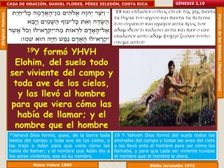 Original Hebreo   CASA DE ORACIÓN, DANIEL FLORES, PÉREZ ZELEDÓN, COSTA RICA              GÉNESIS 2,19




                                                                                                             Versión de los Setenta (Septuaginta)
                          19Y      formó YHVH
                      Elohim, del suelo todo
                    ser viviente del campo y
                     toda ave de los cielos,
                       y las llevó al hombre
                    para que viera cómo las
                       había de llamar; y el
                      nombre que el hombre
                   19Jehová Dios formó, pues,seres
                             dio a toda avede lalos cielos, y 19 Y Yahveh campoformó dellas avestodoscielo
                                         los de tierra toda animales del Dios y todas suelo del los
                   bestia del campo y
                   las trajo a Adán para ese es su las y los llevó ante el hombre para ver cómo los
                        vivientes, que vieraAdán dio a llamaba, y para que cada ser viviente tuviese
                                                       cómo
                   había de llamar; y el nombre que
                                    nombre.
                   los seres vivientes, ese es su nombre.     el nombre que el hombre le diera.
                             Reina Valera 1995                                Biblia Jerusalén 1975
 
