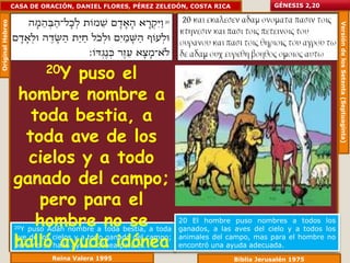 Original Hebreo   CASA DE ORACIÓN, DANIEL FLORES, PÉREZ ZELEDÓN, COSTA RICA                 GÉNESIS 2,20




                                                                                                                Versión de los Setenta (Septuaginta)
                           20Y
                          puso el
                  hombre nombre a
                    toda bestia, a
                   toda ave de los
                    cielos y a todo
                  ganado del campo;
                     pero para el
                     hombre no se
                   20Ypuso Adán nombre a toda bestia, a toda
                                                                  20 El hombre puso nombres a todos los
                                                                  ganados, a las aves del cielo y a todos los

                  halló ayuda idónea
                   ave de los cielos y a todo ganado del campo;
                   pero no se halló ayuda idónea para él.
                                                                  animales del campo, mas para el hombre no
                                                                  encontró una ayuda adecuada.
                             Reina Valera 1995                                   Biblia Jerusalén 1975
 