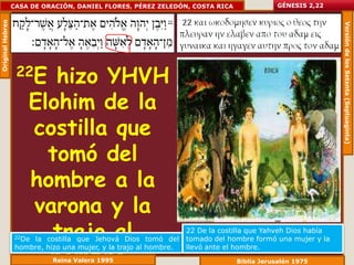 Original Hebreo   CASA DE ORACIÓN, DANIEL FLORES, PÉREZ ZELEDÓN, COSTA RICA                GÉNESIS 2,22




                                                                                                             Versión de los Setenta (Septuaginta)
                   22E   hizo YHVH
                      Elohim de la
                      costilla que
                        tomó del
                      hombre a la
                      varona y la
                   22De trajo al
                       la costilla que Jehová Dios tomó del
                                                                   22 De la costilla que Yahveh Dios había
                                                                   tomado del hombre formó una mujer y la


                        hombre.
                   hombre, hizo una mujer, y la trajo al hombre.   llevó ante el hombre.
                             Reina Valera 1995                                  Biblia Jerusalén 1975
 