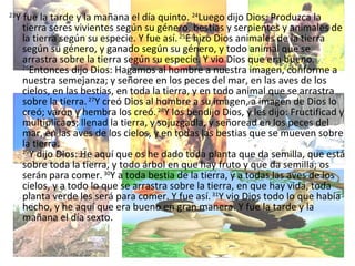 23 Y fue la tarde y la mañana el día quinto.  24 Luego dijo Dios: Produzca la tierra seres vivientes según su género, bestias y serpientes y animales de la tierra según su especie. Y fue así.  25 E hizo Dios animales de la tierra según su género, y ganado según su género, y todo animal que se arrastra sobre la tierra según su especie. Y vio Dios que era bueno. 26 Entonces dijo Dios: Hagamos al hombre a nuestra imagen, conforme a nuestra semejanza; y señoree en los peces del mar, en las aves de los cielos, en las bestias, en toda la tierra, y en todo animal que se arrastra sobre la tierra.  27 Y creó Dios al hombre a su imagen, a imagen de Dios lo creó; varón y hembra los creó.  28 Y los bendijo Dios, y les dijo: Fructificad y multiplicaos; llenad la tierra, y sojuzgadla, y señoread en los peces del mar, en las aves de los cielos, y en todas las bestias que se mueven sobre la tierra. 29 Y dijo Dios: He aquí que os he dado toda planta que da semilla, que está sobre toda la tierra, y todo árbol en que hay fruto y que da semilla; os serán para comer.  30 Y a toda bestia de la tierra, y a todas las aves de los cielos, y a todo lo que se arrastra sobre la tierra, en que hay vida, toda planta verde les será para comer. Y fue así.  31 Y vio Dios todo lo que había hecho, y he aquí que era bueno en gran manera. Y fue la tarde y la mañana el día sexto. 