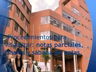 Procedimientos para
visualizar: notas parciales,
finales y sábana de notas.
 