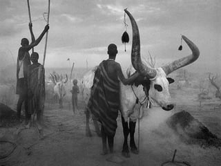 Génesis;Tribute to Earth- Master Photographer Sebastiao Salgado