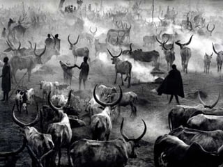 Génesis;Tribute to Earth- Master Photographer Sebastiao Salgado