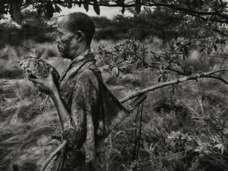 Génesis;Tribute to Earth- Master Photographer Sebastiao Salgado