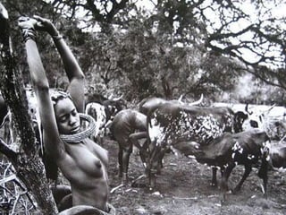 Génesis;Tribute to Earth- Master Photographer Sebastiao Salgado