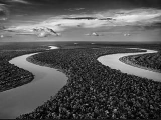 Génesis;Tribute to Earth- Master Photographer Sebastiao Salgado