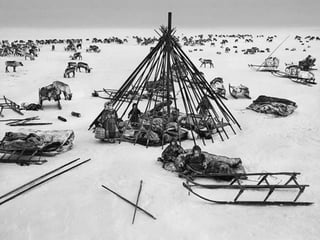 Génesis;Tribute to Earth- Master Photographer Sebastiao Salgado