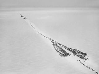 Génesis;Tribute to Earth- Master Photographer Sebastiao Salgado