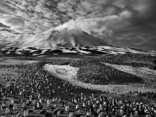 Génesis;Tribute to Earth- Master Photographer Sebastiao Salgado