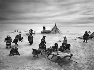 Génesis;Tribute to Earth- Master Photographer Sebastiao Salgado