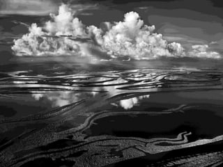 Génesis;Tribute to Earth- Master Photographer Sebastiao Salgado