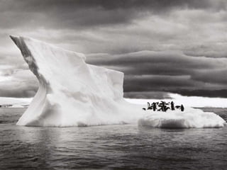 Génesis;Tribute to Earth- Master Photographer Sebastiao Salgado