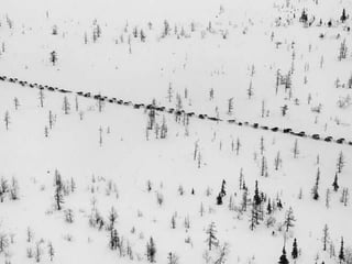 Génesis;Tribute to Earth- Master Photographer Sebastiao Salgado