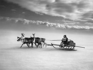 Génesis;Tribute to Earth- Master Photographer Sebastiao Salgado