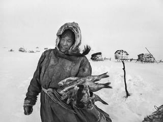 Génesis;Tribute to Earth- Master Photographer Sebastiao Salgado