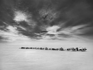 Génesis;Tribute to Earth- Master Photographer Sebastiao Salgado