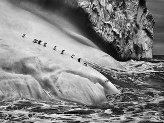 Génesis;Tribute to Earth- Master Photographer Sebastiao Salgado