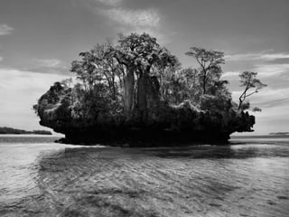Génesis;Tribute to Earth- Master Photographer Sebastiao Salgado