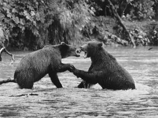 Génesis;Tribute to Earth- Master Photographer Sebastiao Salgado
