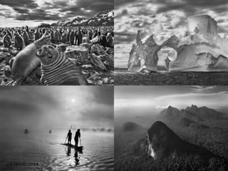 Génesis;Tribute to Earth- Master Photographer Sebastiao Salgado