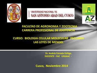 FACULTAD DE AGRONOMIA Y ZOOTECNIA
CARRERA PROFESIONAL DE ZOOTENCIA
CURSO: BIOLOGIA CELULAR MOLECULAR PECUARIA
LAS LEYES DE MENDEL
Cusco, Noviembre 2014
Dr. Andrés Estrada Zúñiga.
DOCENTE - FAZ UNSAAC -
 