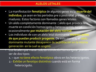Génetica teoria mendeliana 2014 | PPTX