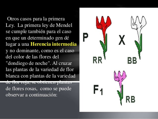 teoria mendeliana 2014