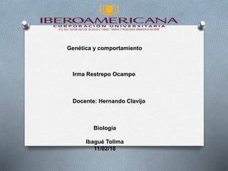 Genética y comportamiento
Irma Restrepo Ocampo
Docente: Hernando Clavijo
Biología
Ibagué Tolima
11/02/18
 