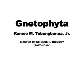 Romeo M. Tubongbanua, Jr.
MASTER OF SCIENCE IN BIOLOGY
(TAXONOMY)
Gnetophyta
 