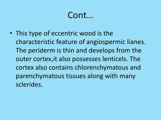 Cont…
• This type of eccentric wood is the
characteristic feature of angiospermic lianes.
The periderm is thin and develops from the
outer cortex,it also possesses lenticels. The
cortex also contains chlorenchymatous and
parenchymatous tissues along with many
sclerides.
 