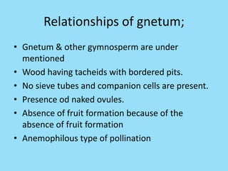 Relationships of gnetum;
• Gnetum & other gymnosperm are under
mentioned
• Wood having tacheids with bordered pits.
• No sieve tubes and companion cells are present.
• Presence od naked ovules.
• Absence of fruit formation because of the
absence of fruit formation
• Anemophilous type of pollination
 