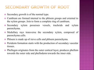  Secondary growth is of the normal type.
 Cambium are formed internal to the phloem groups and external to
the xylem groups. Join to form a complete ring of cambium.
 Secondary xylem possesses vessels, tracheids and xylem
parenchyma.
 Medullary rays transverse the secondary xylem, composed of
parenchyma cells.
 Phloem is made up of sieve cells and phloem parenchyma.
 Periderm formation starts with the production of secondary vascular
tissues.
 Phellogen originates from the outer cortical layer, produces phellem
towards the outer side and phelloderm towards the inner side.
 