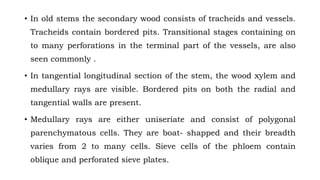 • In old stems the secondary wood consists of tracheids and vessels.
Tracheids contain bordered pits. Transitional stages containing on
to many perforations in the terminal part of the vessels, are also
seen commonly .
• In tangential longitudinal section of the stem, the wood xylem and
medullary rays are visible. Bordered pits on both the radial and
tangential walls are present.
• Medullary rays are either uniseriate and consist of polygonal
parenchymatous cells. They are boat- shapped and their breadth
varies from 2 to many cells. Sieve cells of the phloem contain
oblique and perforated sieve plates.
 